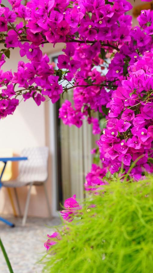 Yelken Bungalov Bed and Breakfast Milas Esterno foto