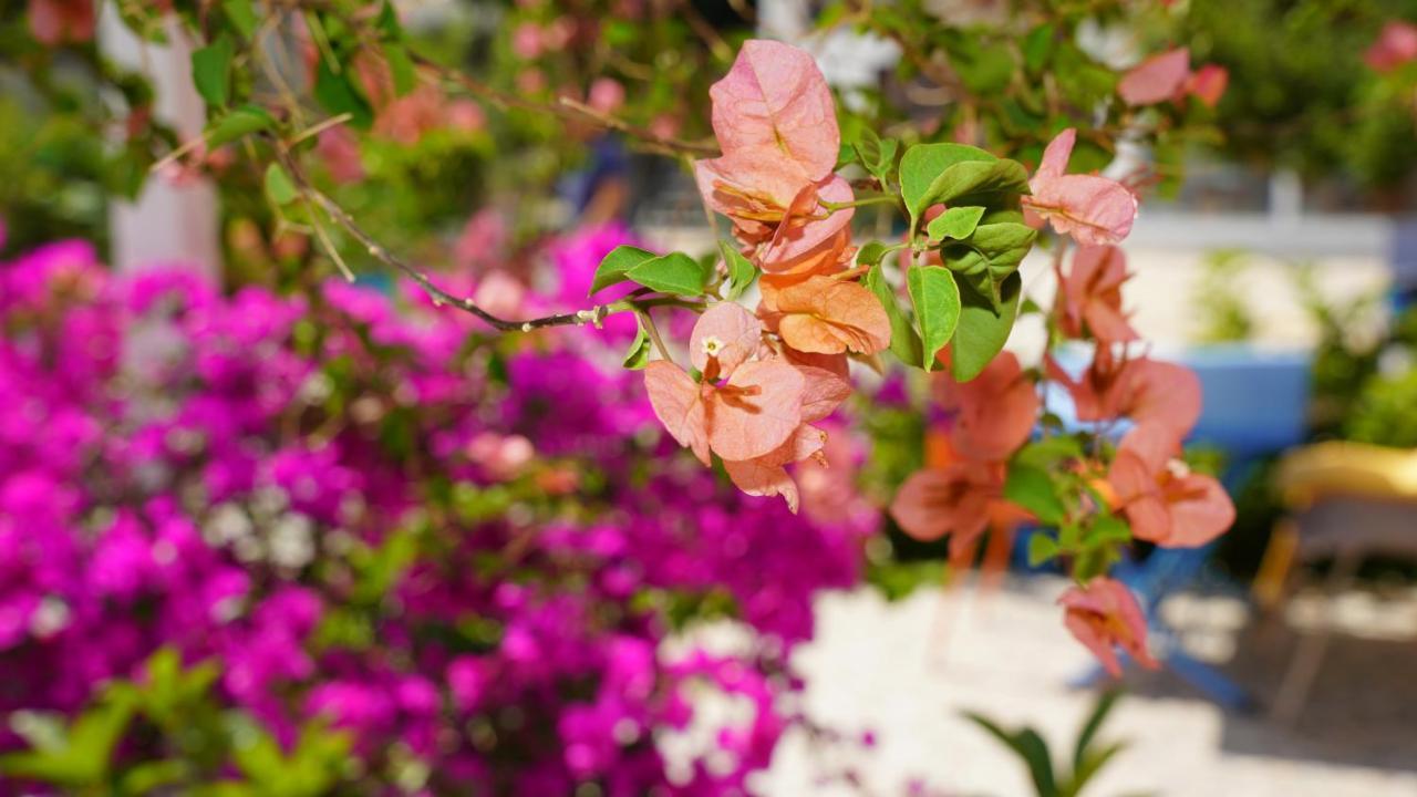 Yelken Bungalov Bed and Breakfast Milas Esterno foto